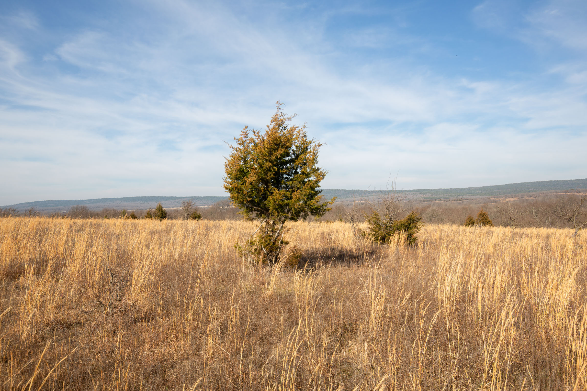 Tract 18 at Painted Horse in Pittsburg County, Oklahoma