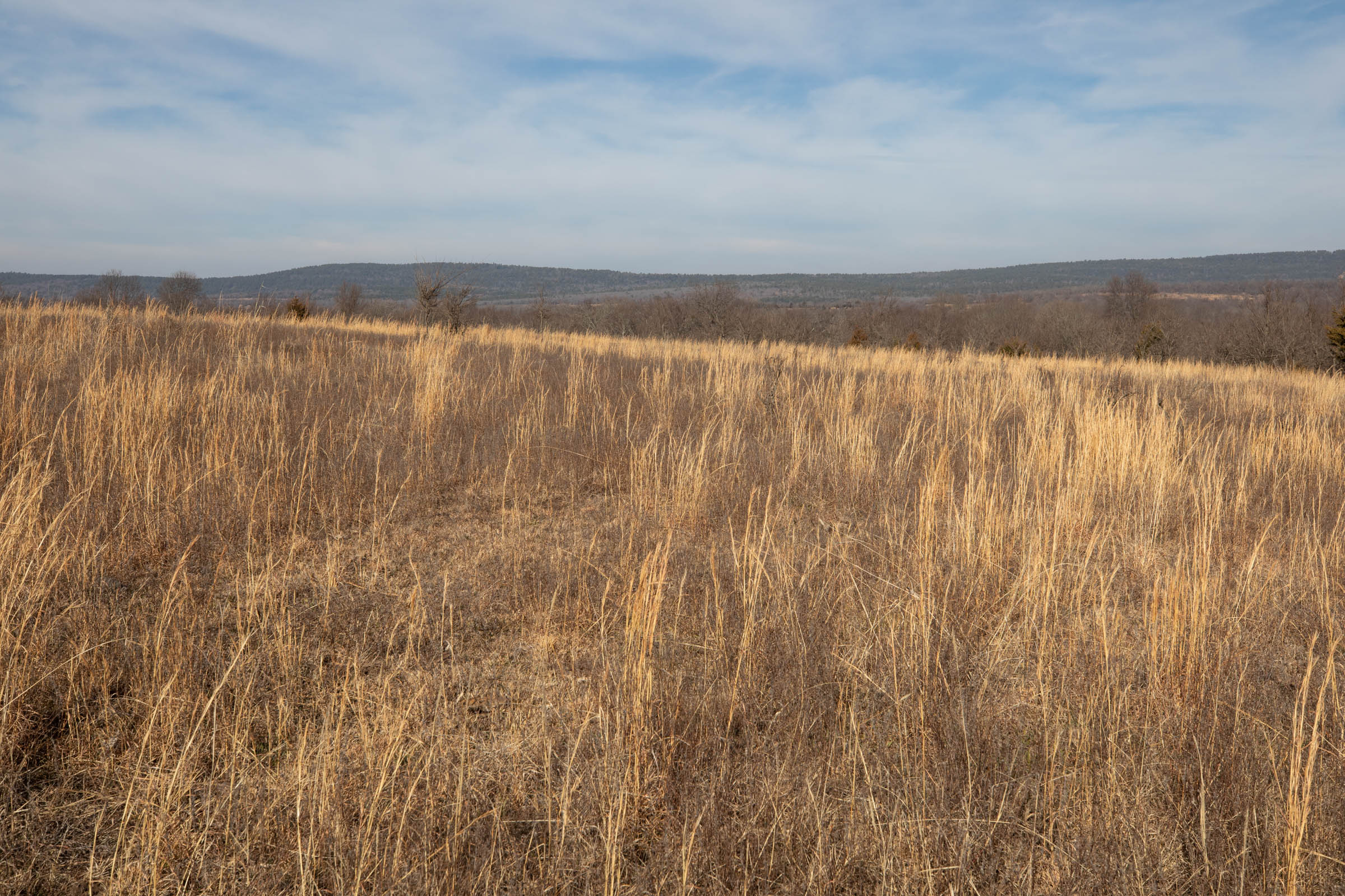 Tract 19 at Painted Horse in Pittsburg County, Oklahoma