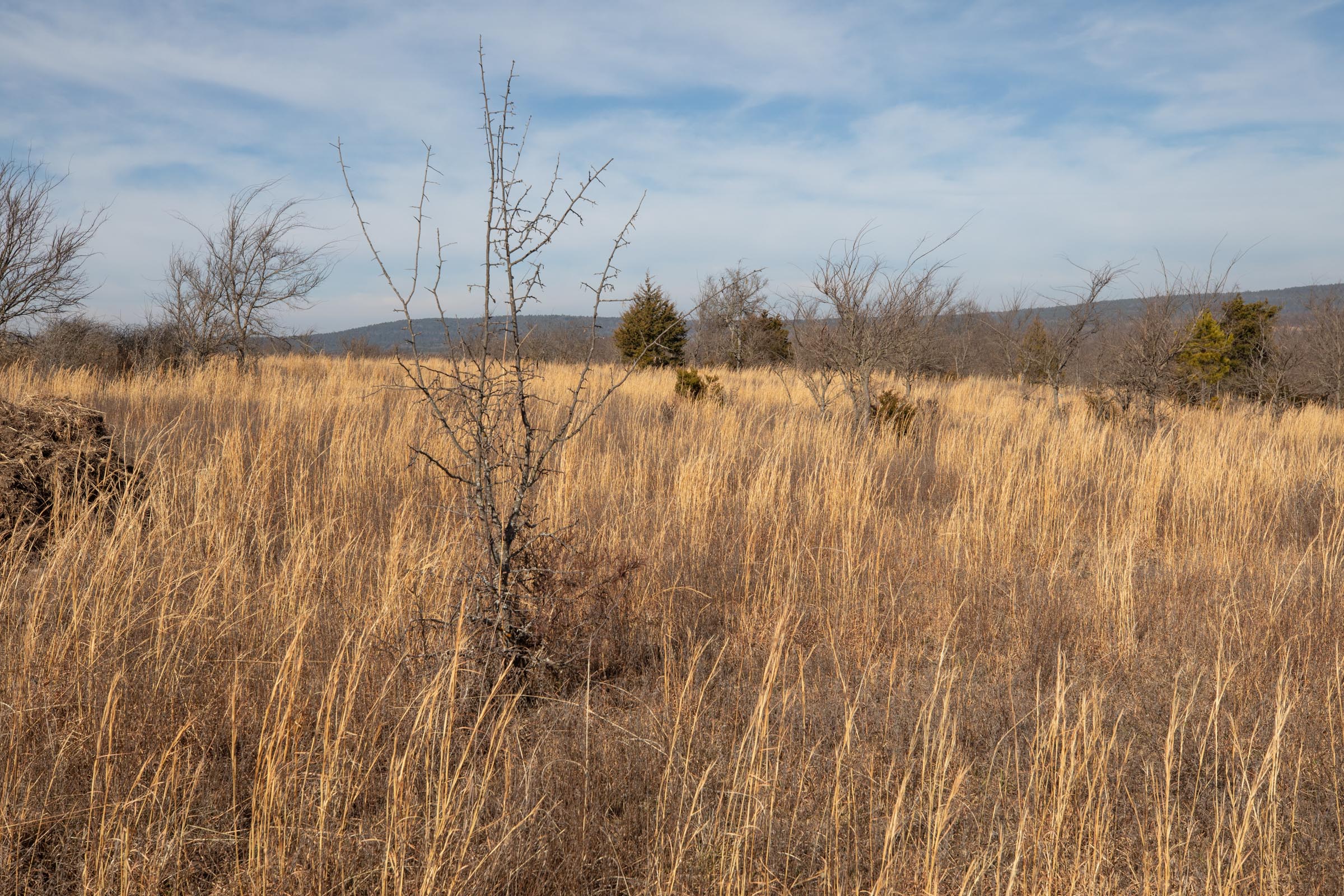 Tract 20 at Painted Horse in Pittsburg County, Oklahoma