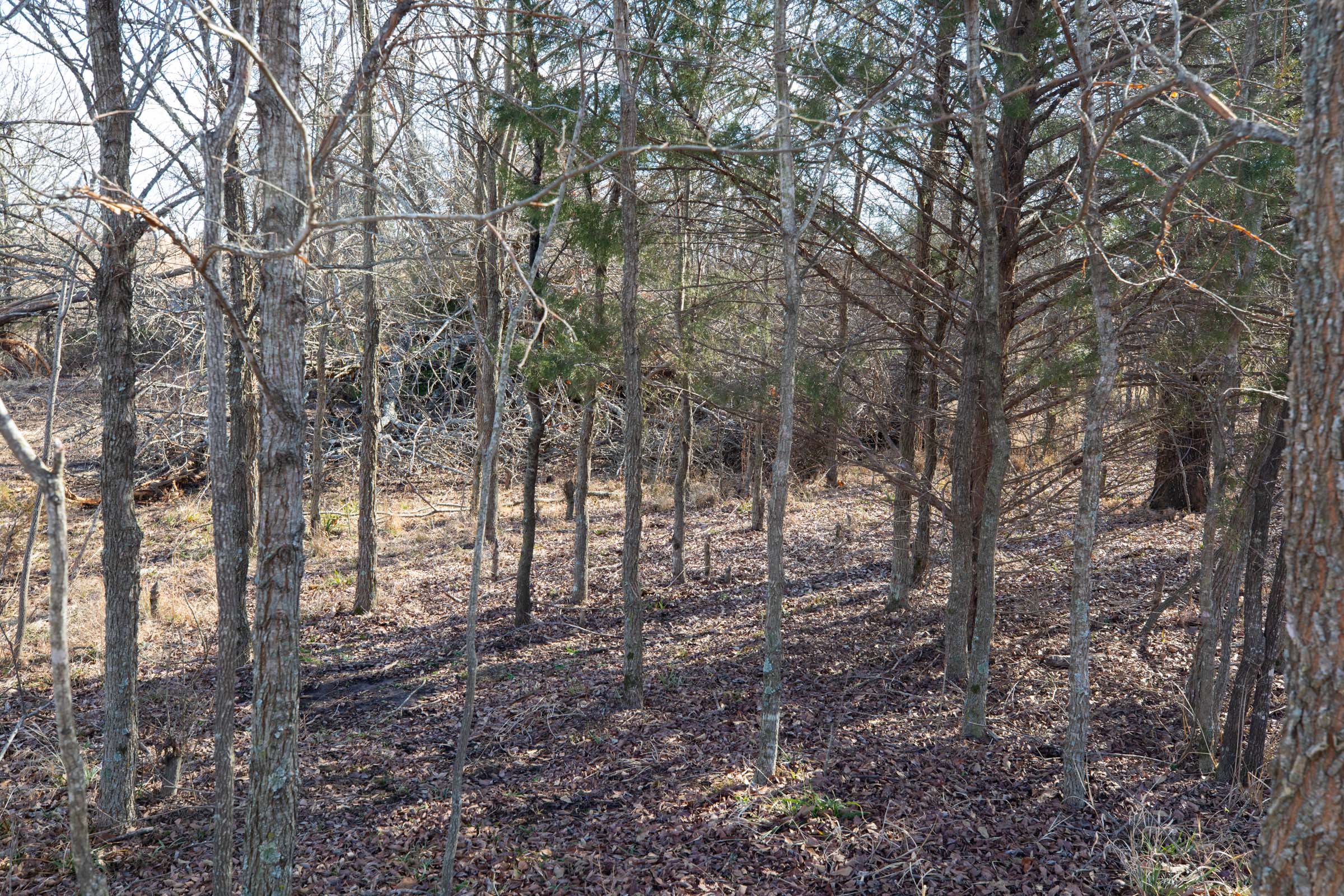 Tract 22 at Painted Horse in Pittsburg County, Oklahoma