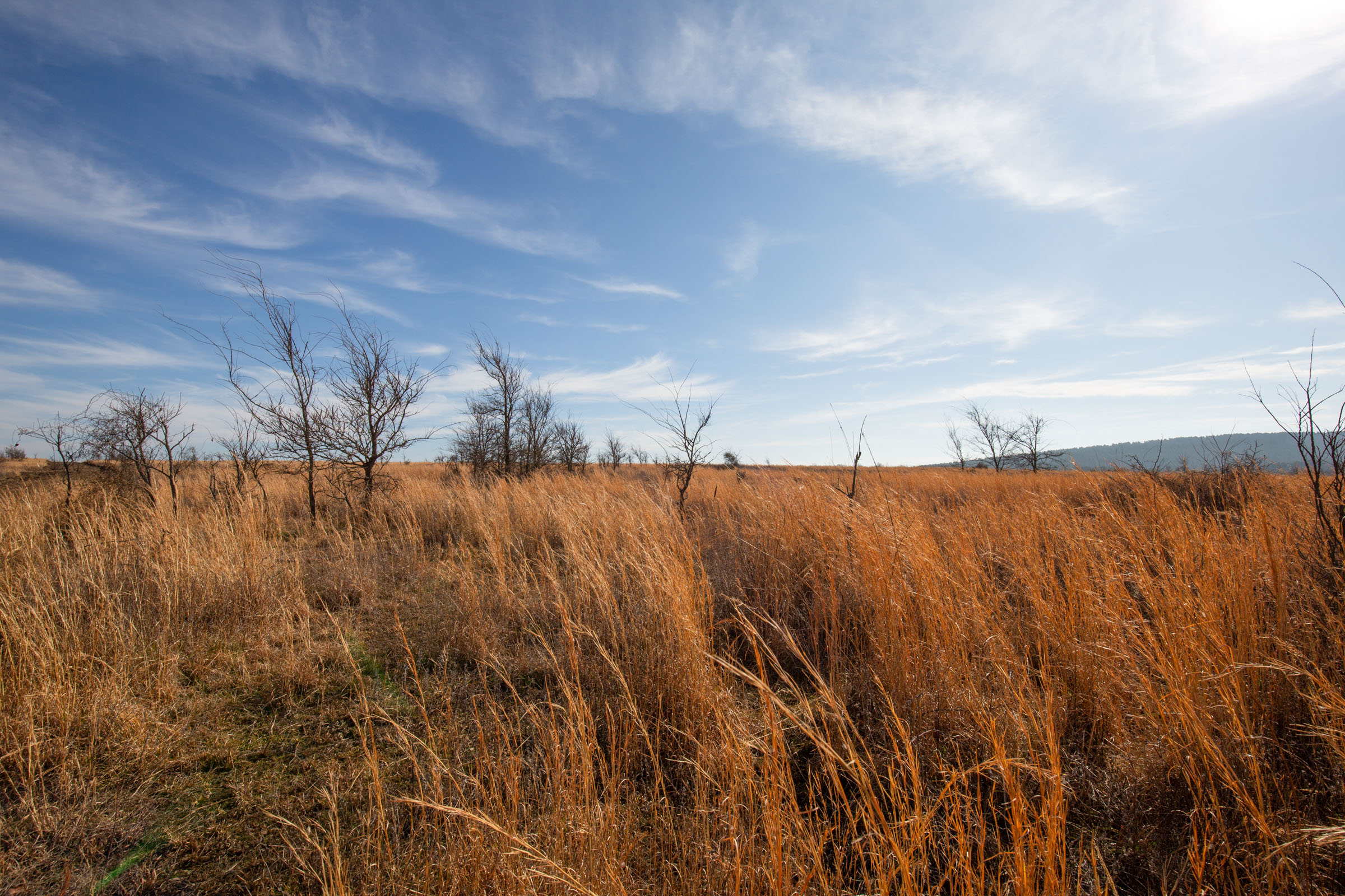 Tract 25 at Painted Horse in Pittsburg County, Oklahoma