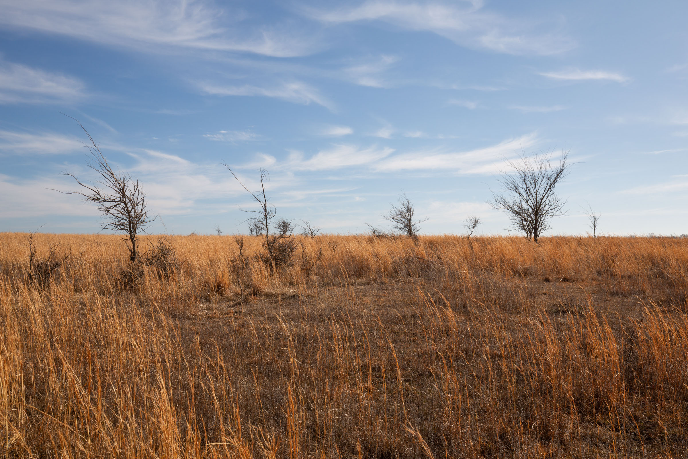 Tract 26 at Painted Horse in Pittsburg County, Oklahoma