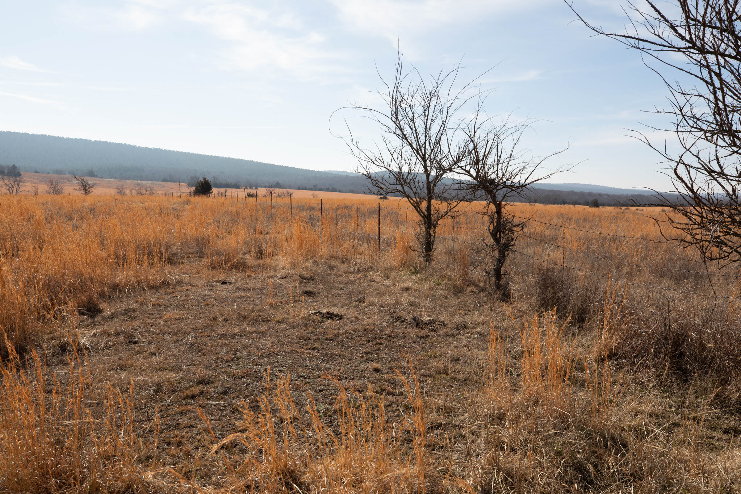 Tract 29 at Painted Horse in Pittsburg County, Oklahoma
