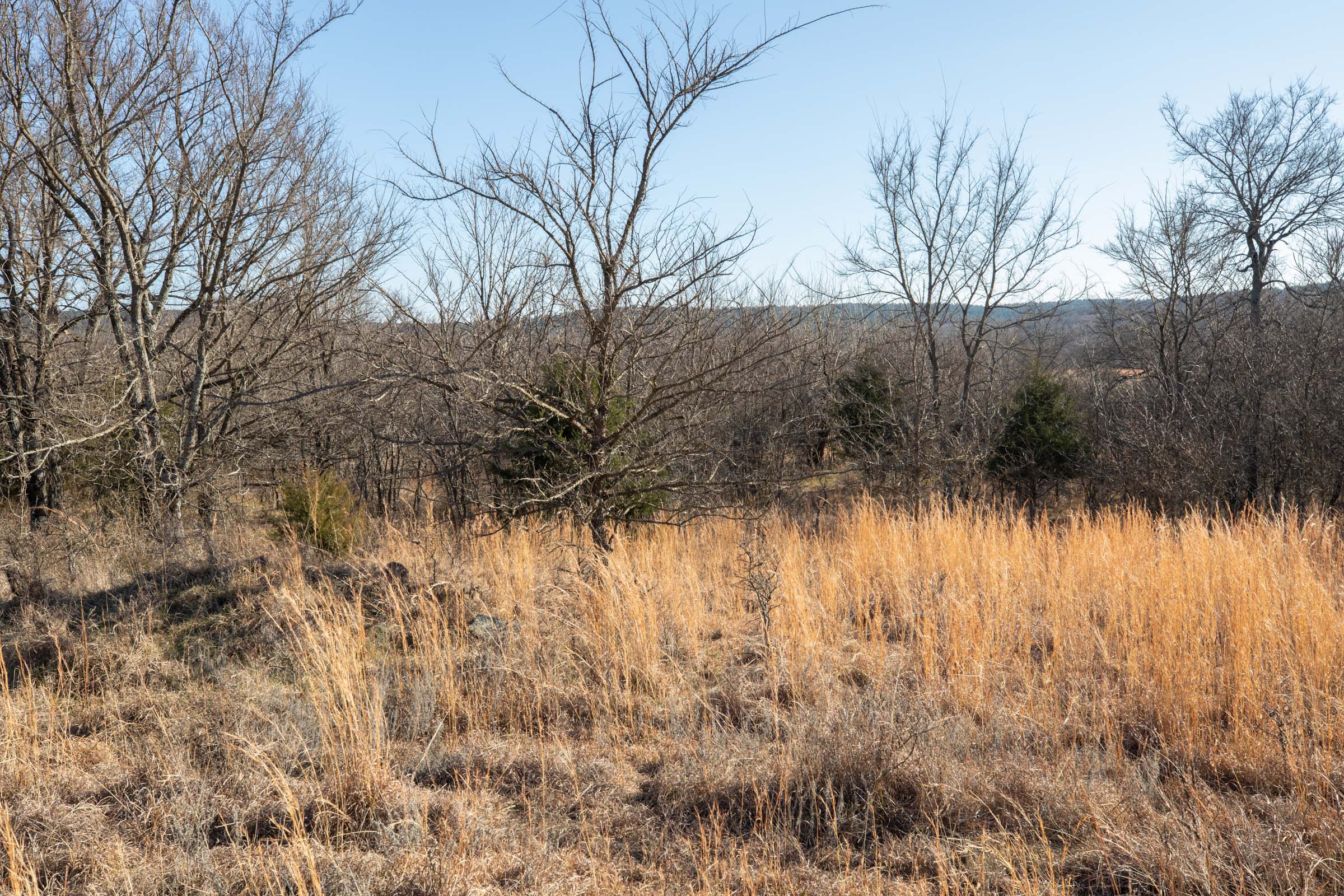 Tract 38 at Painted Horse in Pittsburg County, Oklahoma