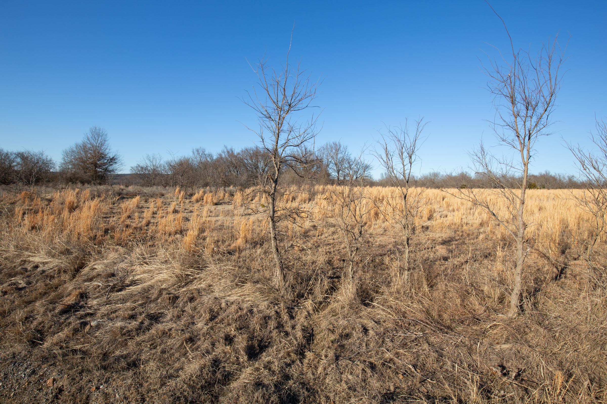 Tract 48 at Painted Horse in Pittsburg County, Oklahoma