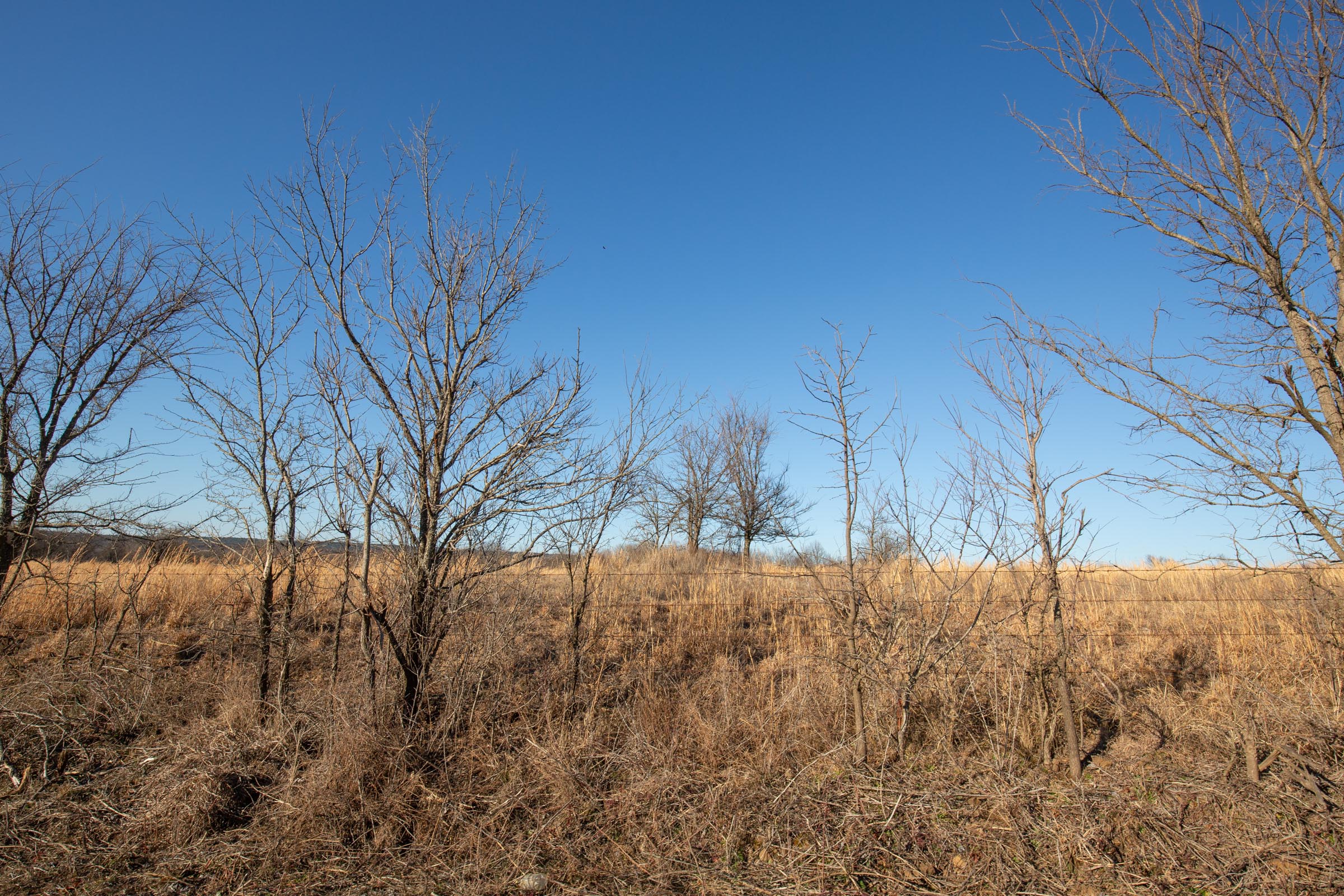 Tract 49 at Painted Horse in Pittsburg County, Oklahoma