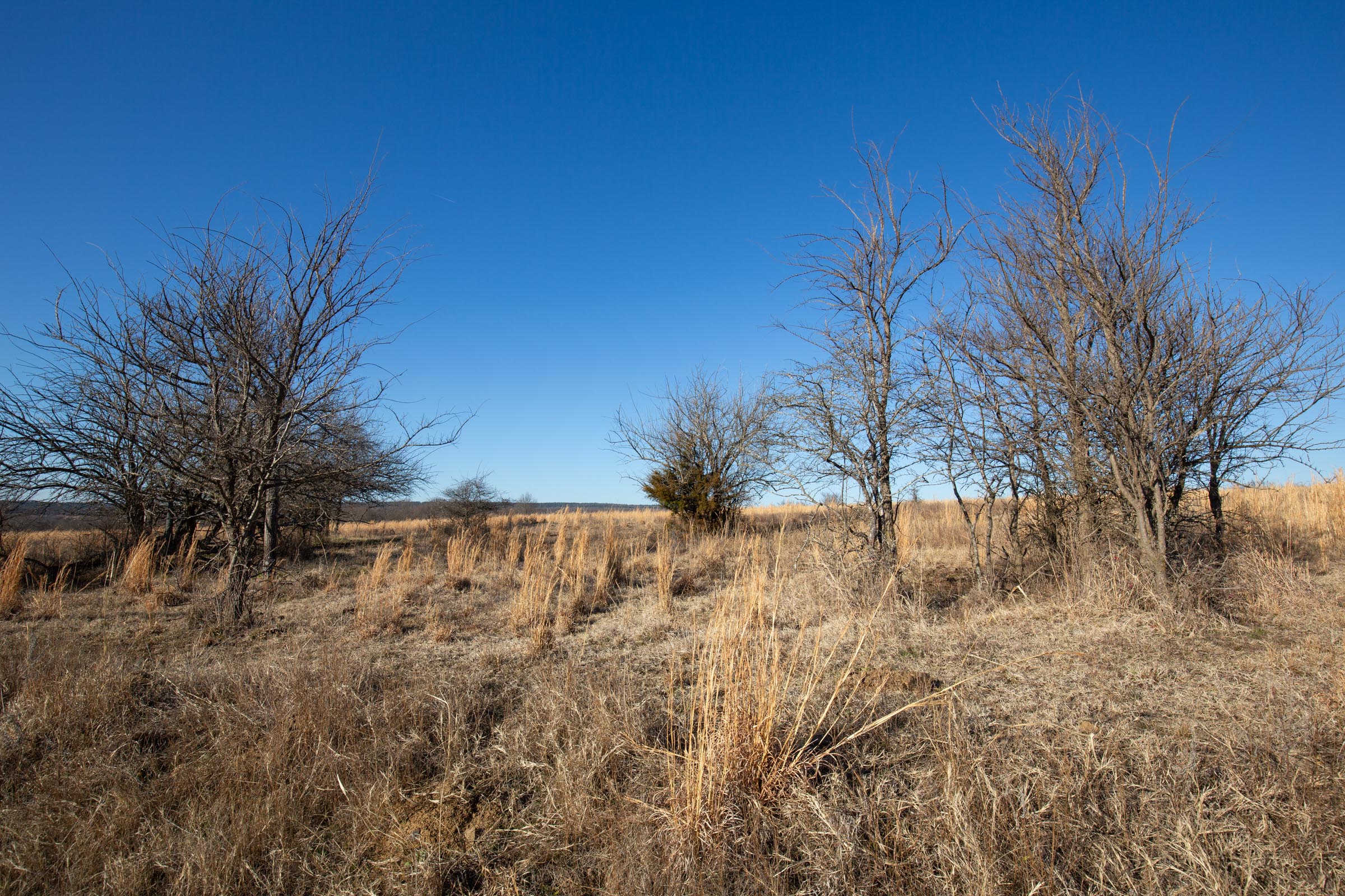 Tract 50 at Painted Horse in Pittsburg County, Oklahoma