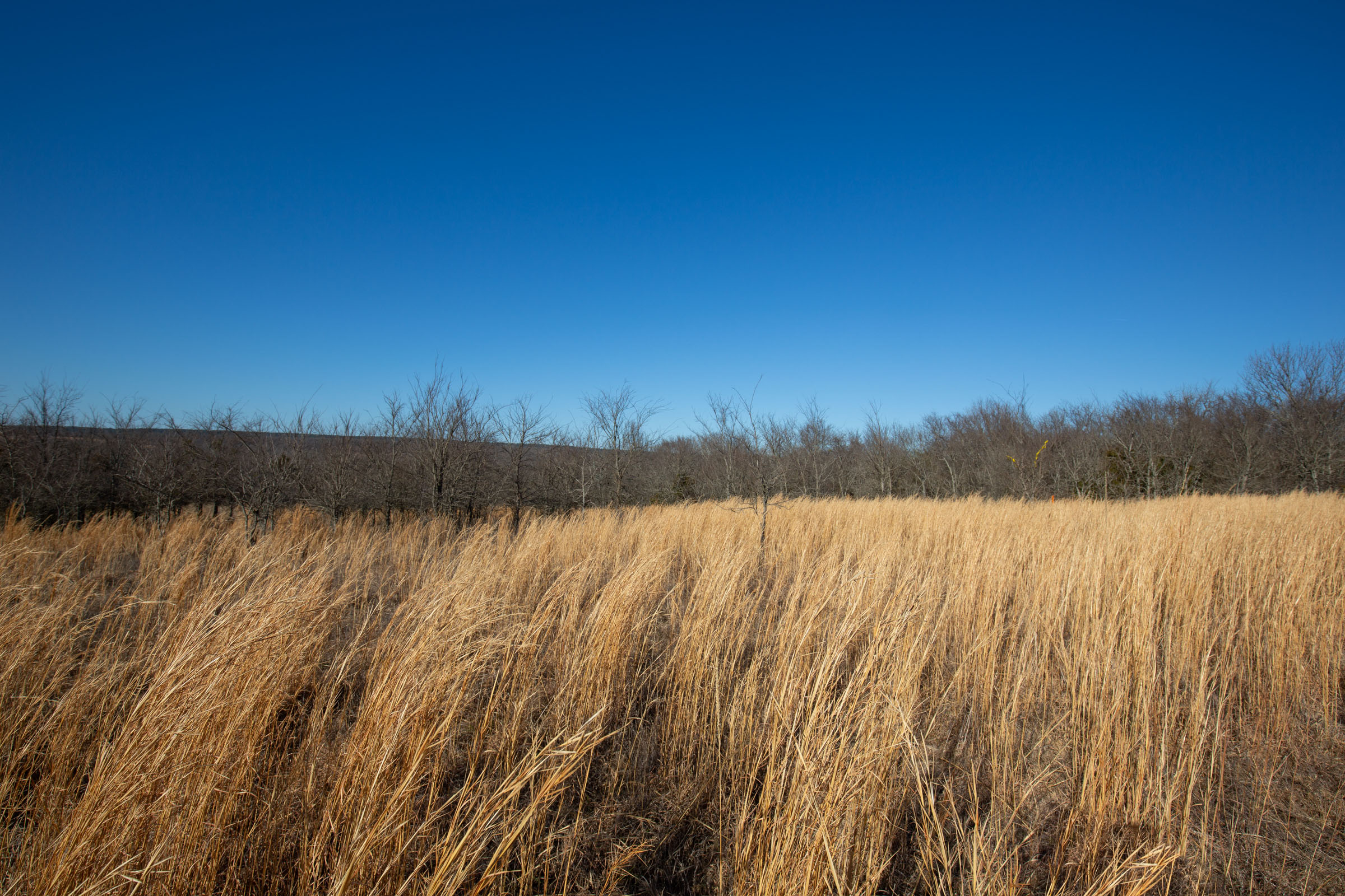 Tract 56 at Painted Horse in Pittsburg County, Oklahoma