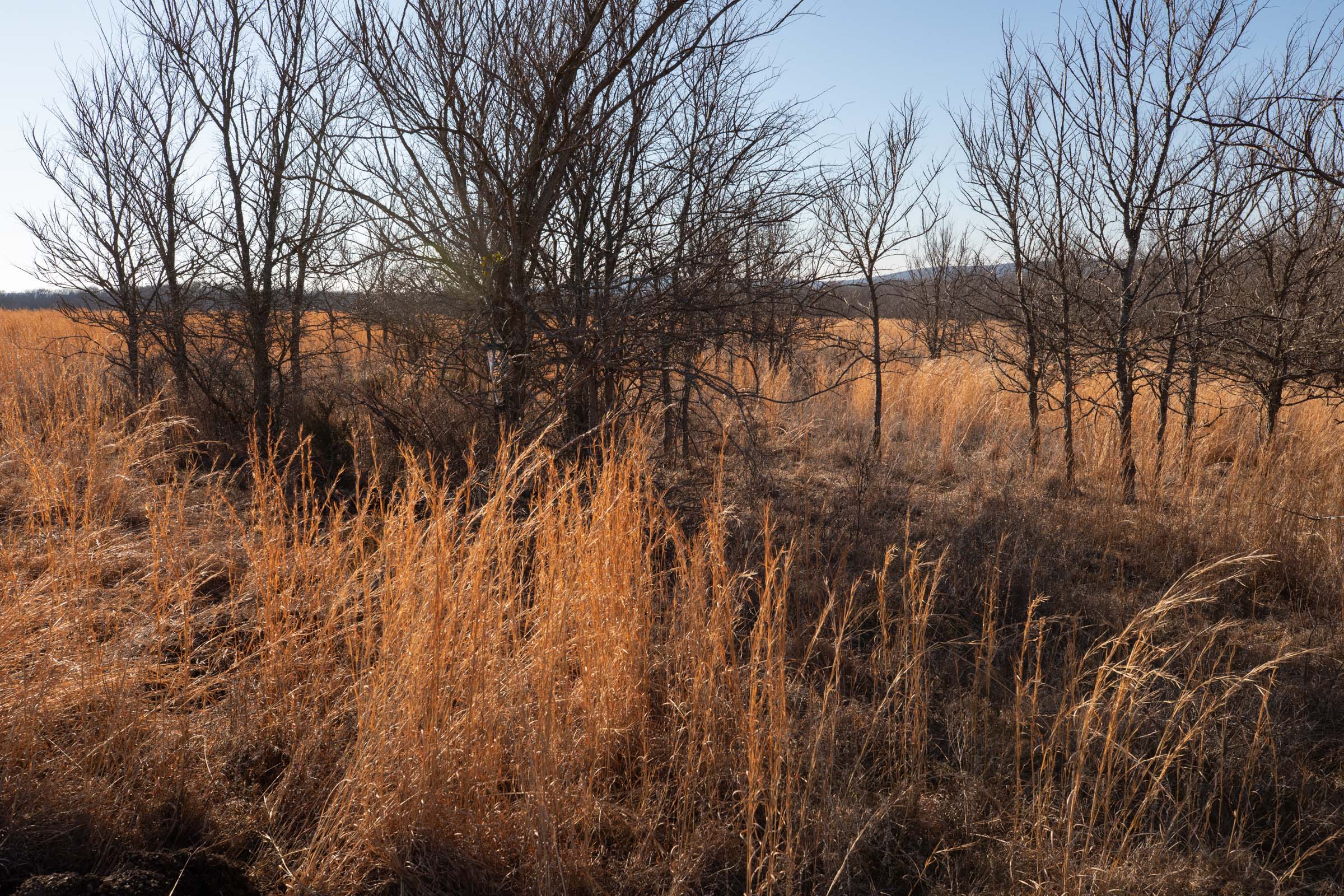 Tract 57 at Painted Horse in Pittsburg County, Oklahoma