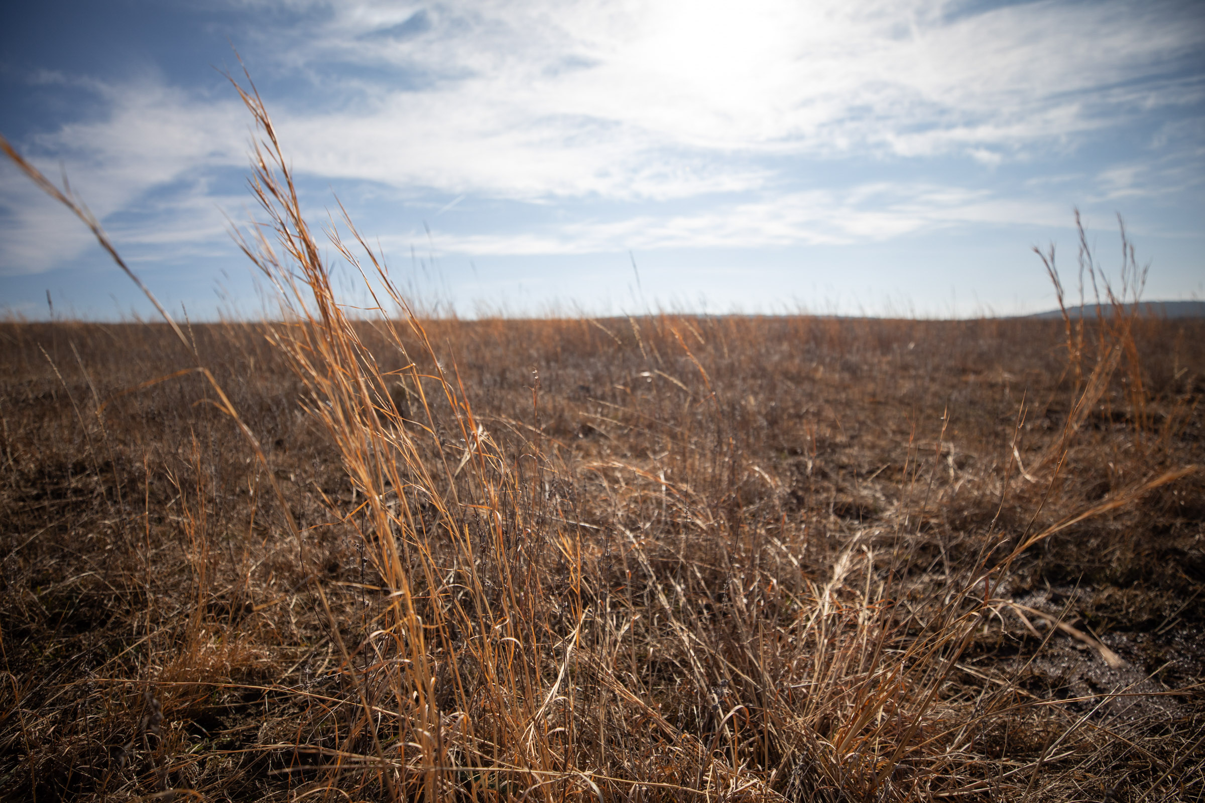 Tract 9 at Painted Horse in Pittsburg County, Oklahoma